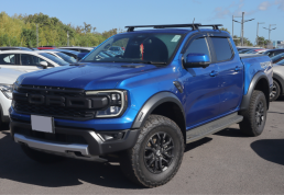 Ford_Axess