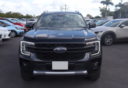 Ford_Axess
