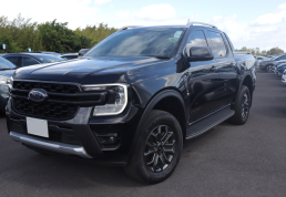 Ford_Axess