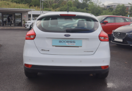 Ford_Axess