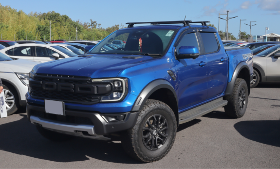 Ford_Axess
